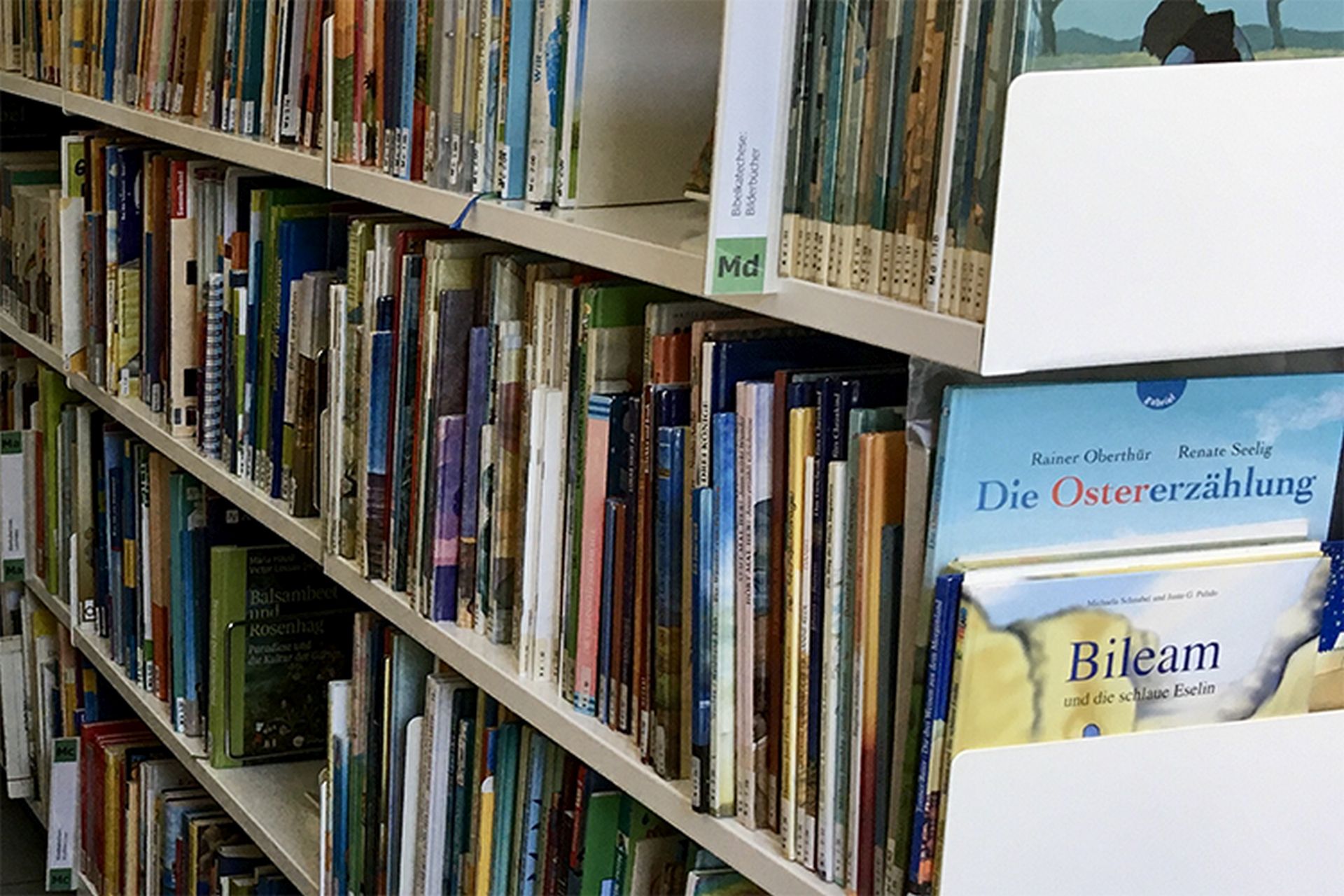 Bibliothek Katechese Medien